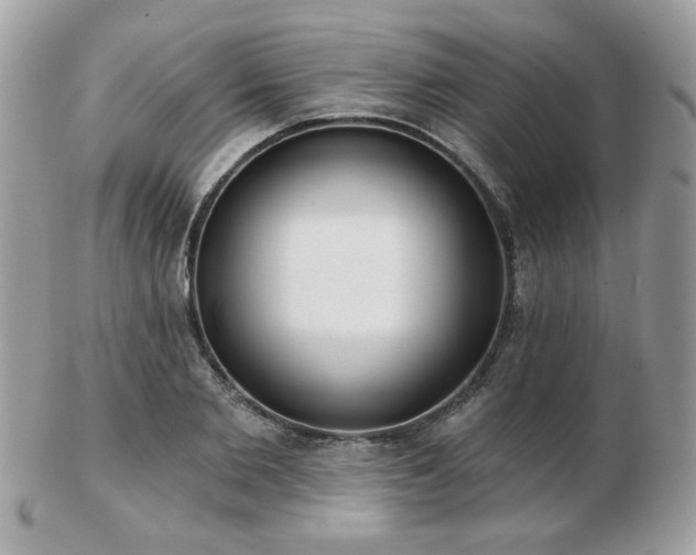 X0000103260885200808291215