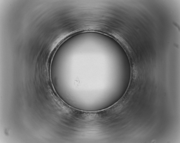 X0000103260886200808291215