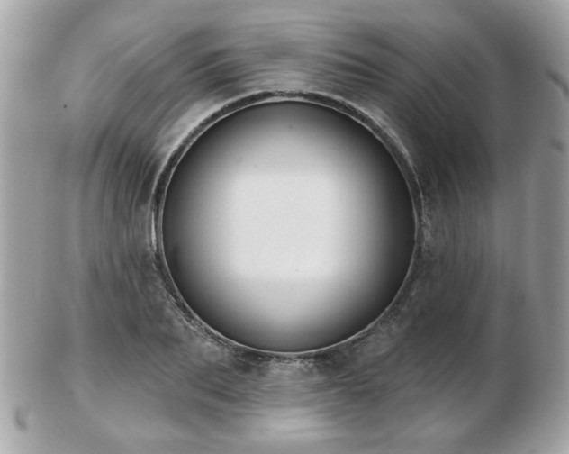 X0000103260887200808291215