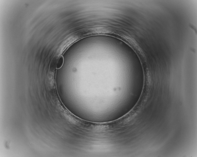 X0000103260889200808291215