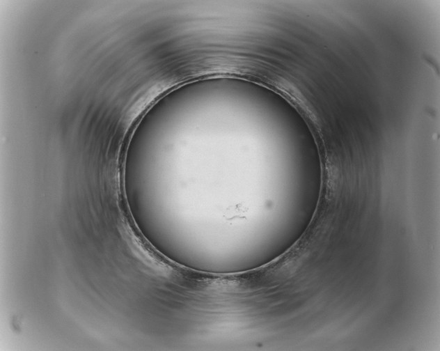 X0000103260890200808291215