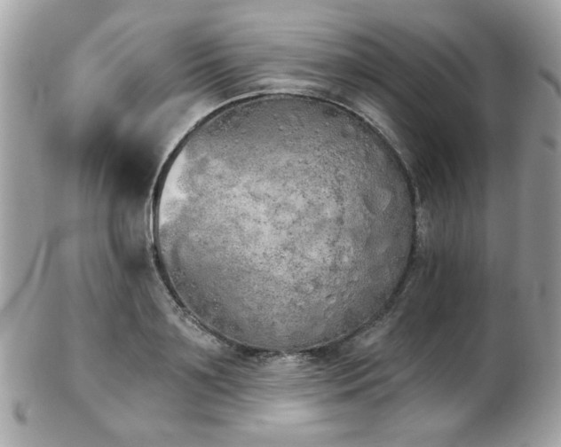 X0000103260891200808291215