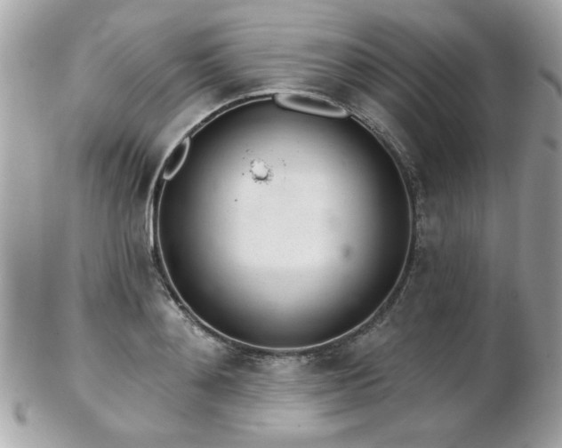 X0000103260892200808291215