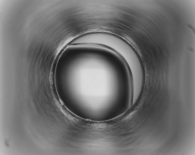 X0000103260893200808291215