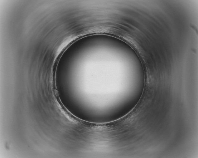 X0000103260894200808291215