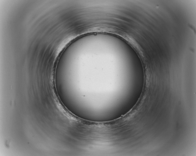 X0000103260896200808291215