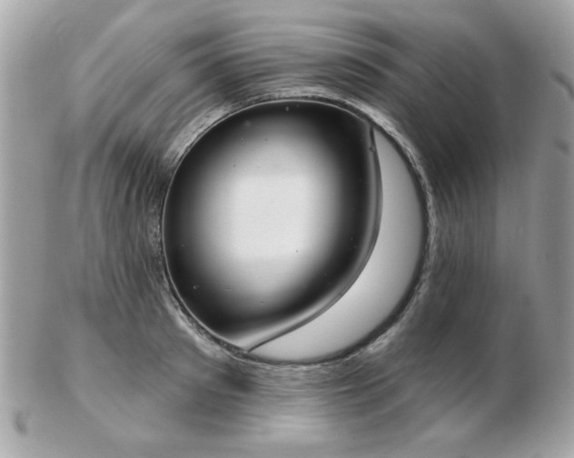 X0000103260897200808291215