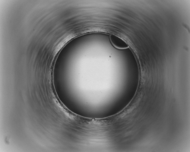 X0000103260898200808291215