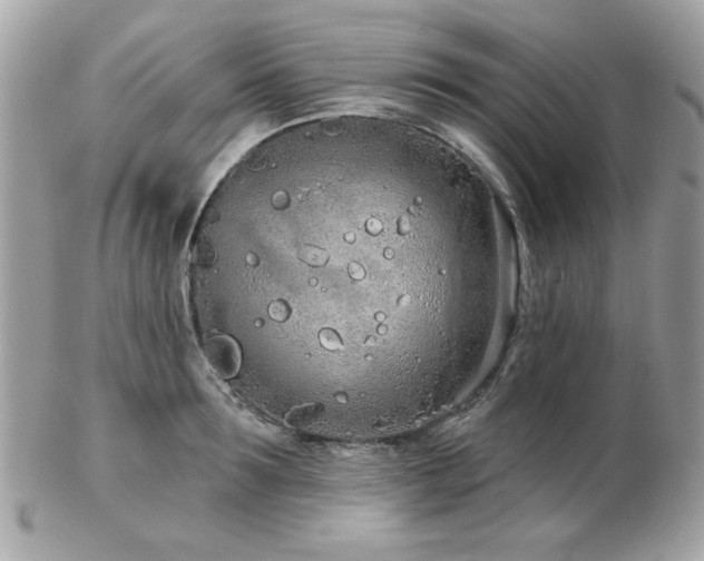 X0000103260899200808291215