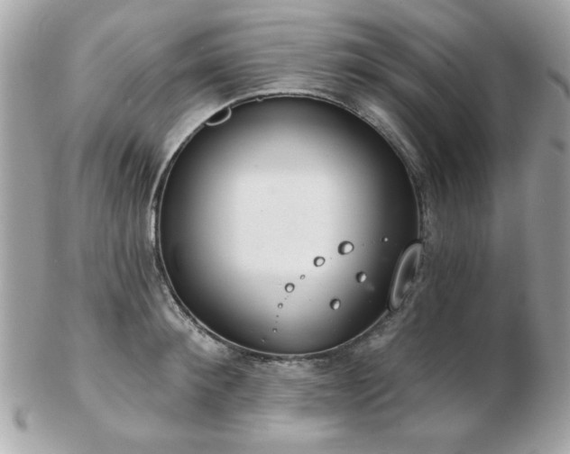 X0000103260900200808291215