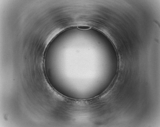 X0000103260901200808291215