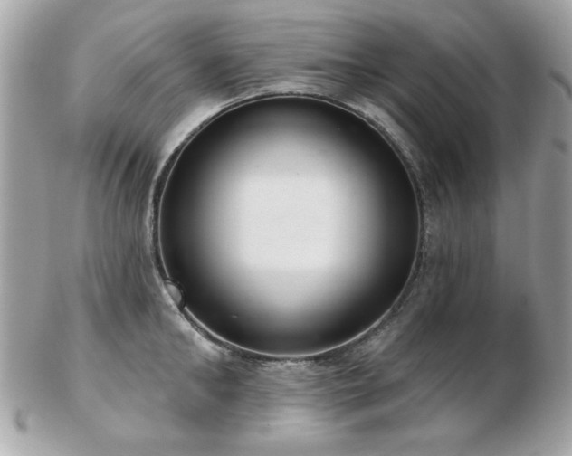 X0000103260902200808291215