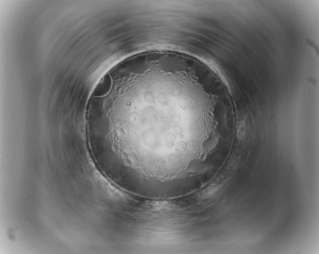 X0000103260903200808291215