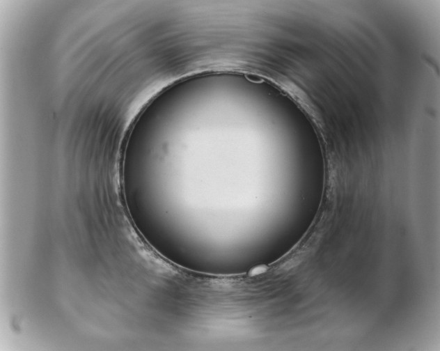 X0000103260904200808291215