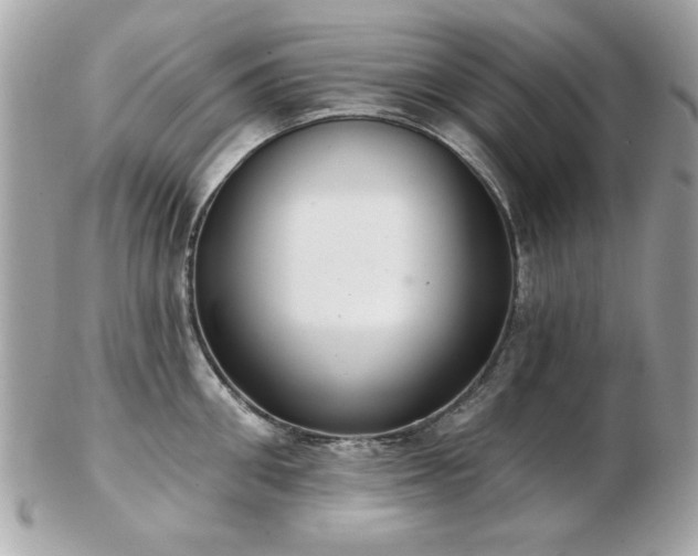 X0000103260906200808291215