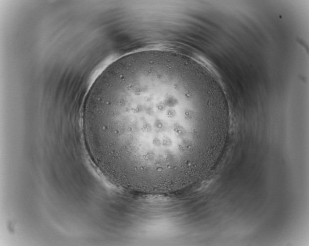 X0000103260907200808291215