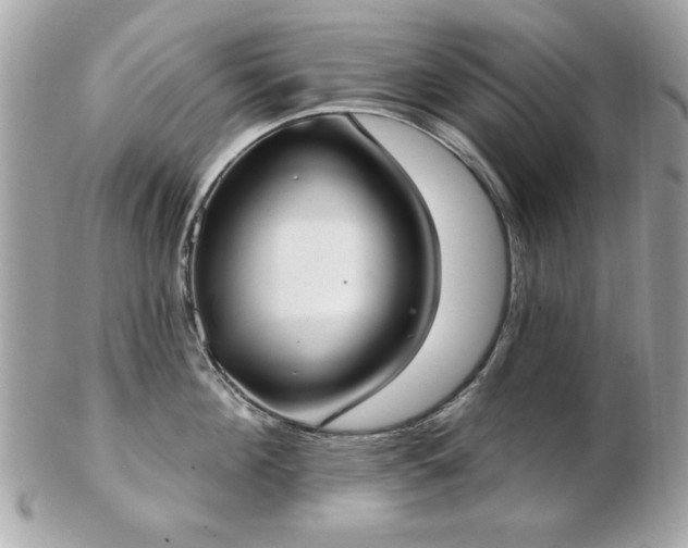 X0000103260908200808291215