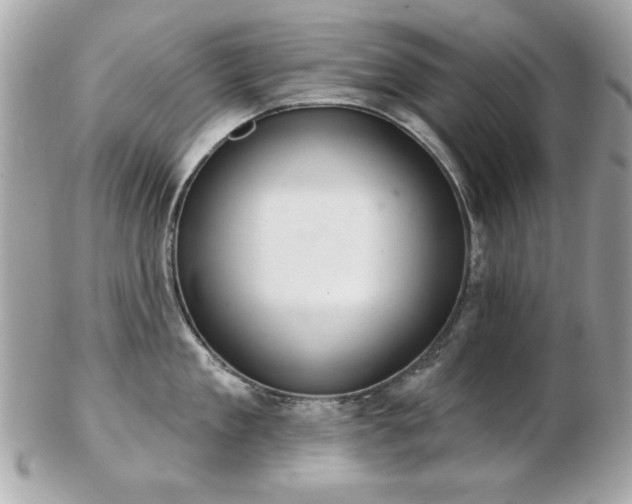 X0000103260909200808291215