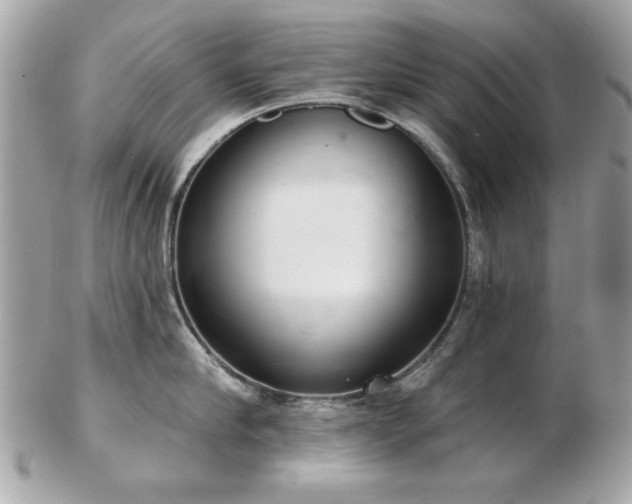 X0000103260910200808291215