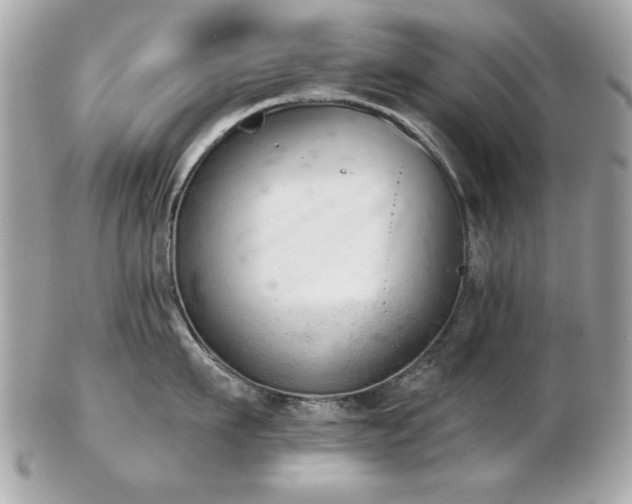 X0000103260911200808291215