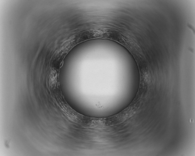 X0000103260914200808291214