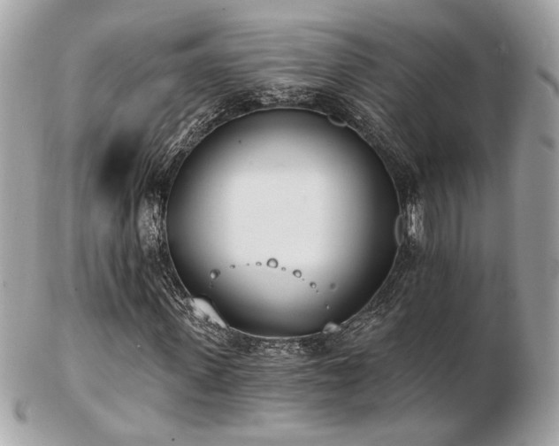 X0000103260915200808291214