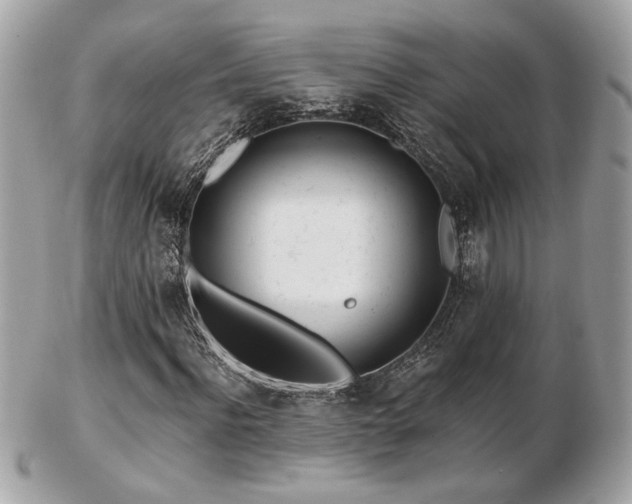 X0000103260916200808291214