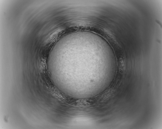 X0000103260918200808291214