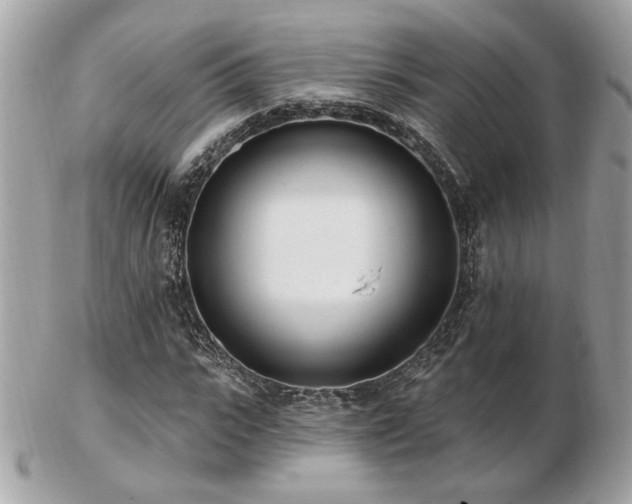 X0000103260919200808291214