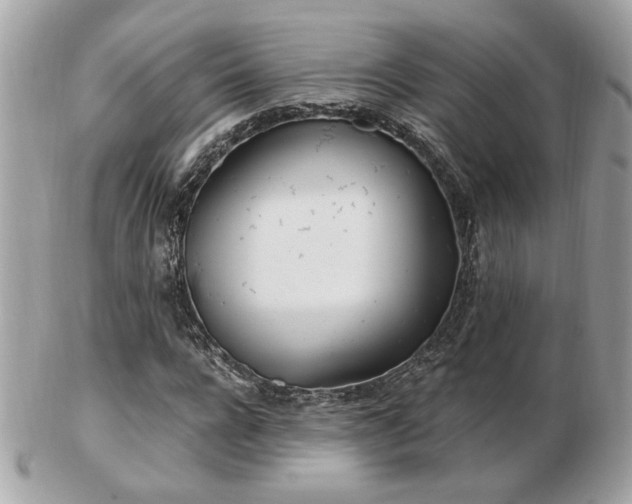 X0000103260920200808291214