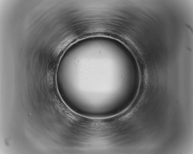 X0000103260921200808291214