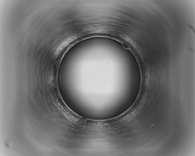 X0000103260922200808291214