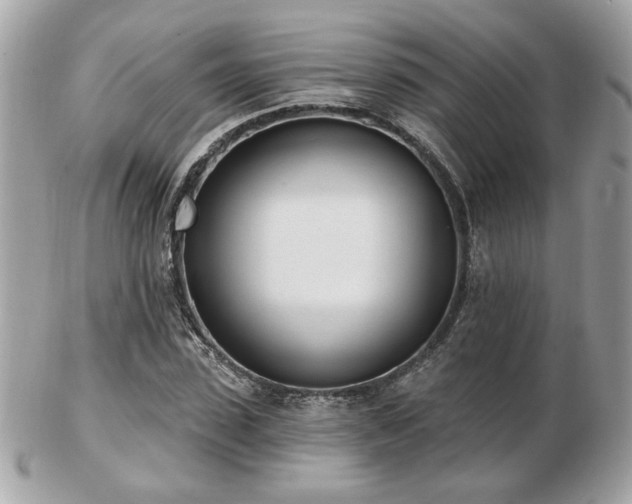 X0000103260923200808291214