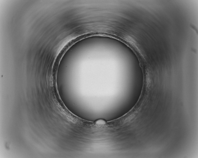 X0000103260924200808291214