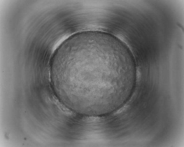 X0000103260925200808291214