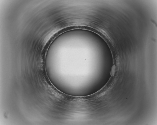 X0000103260926200808291214