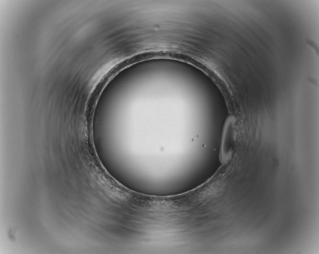 X0000103260927200808291214