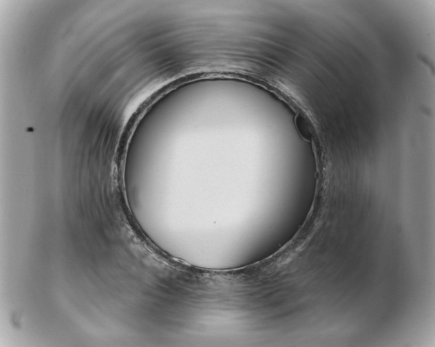 X0000103260928200808291214