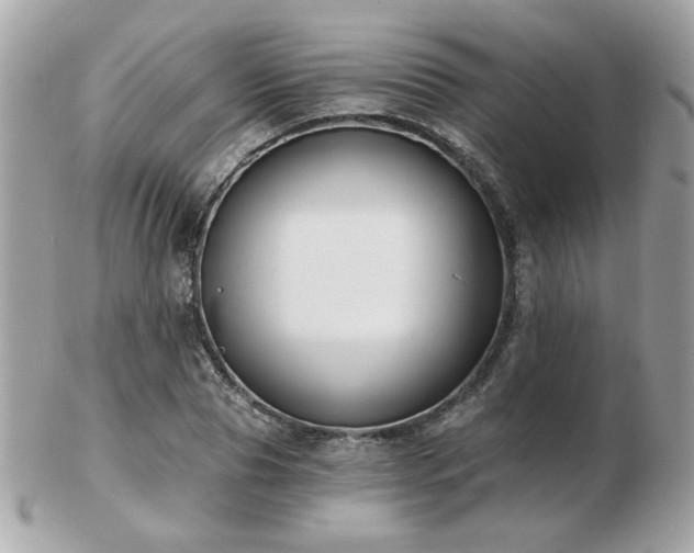 X0000103260929200808291214