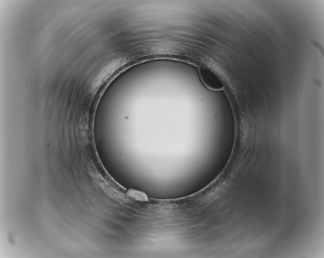 X0000103260930200808291214