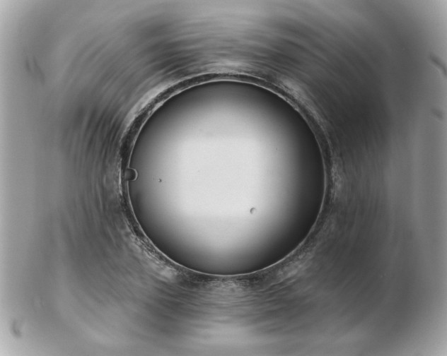 X0000103260931200808291214