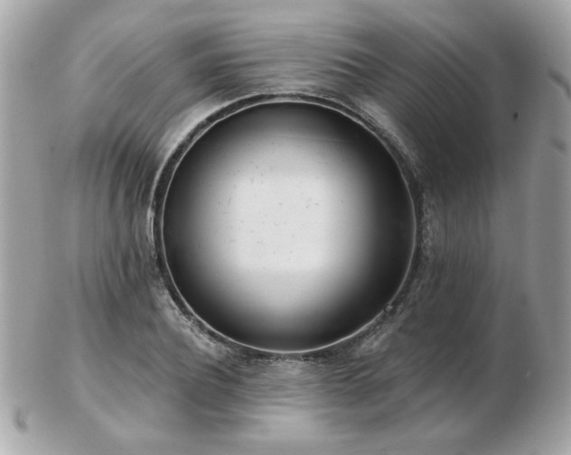 X0000103260932200808291214