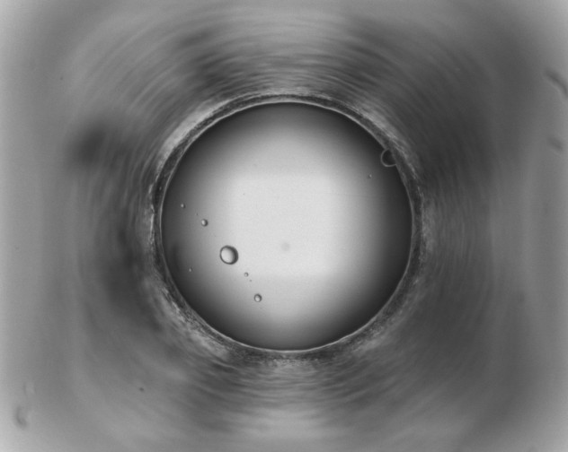 X0000103260933200808291215