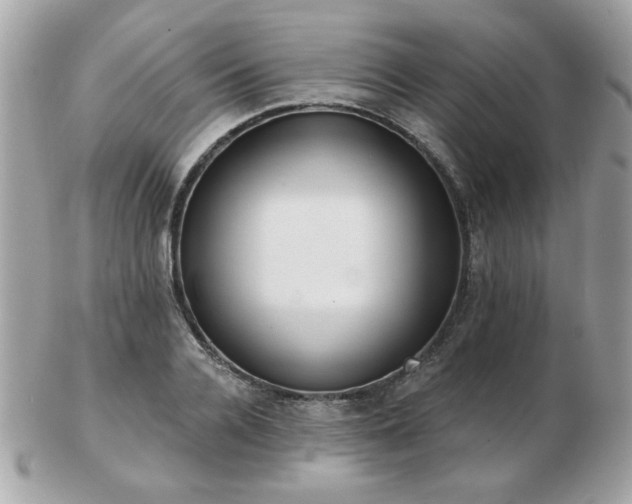 X0000103260936200808291215