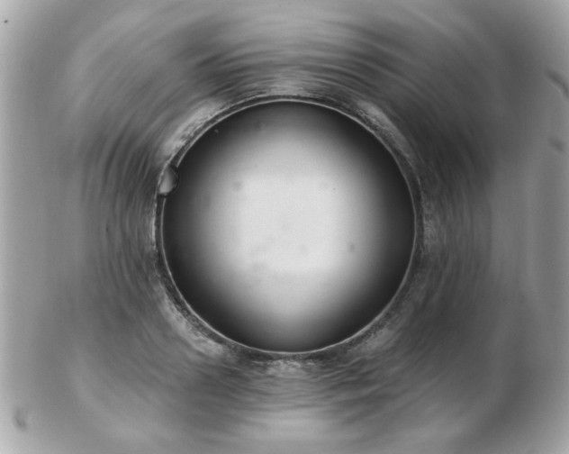 X0000103260938200808291215