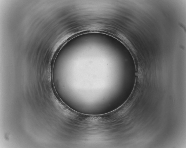 X0000103260939200808291215