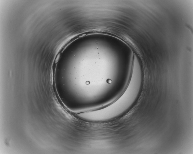 X0000103260940200808291215