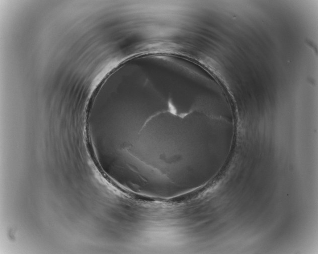 X0000103260941200808291215