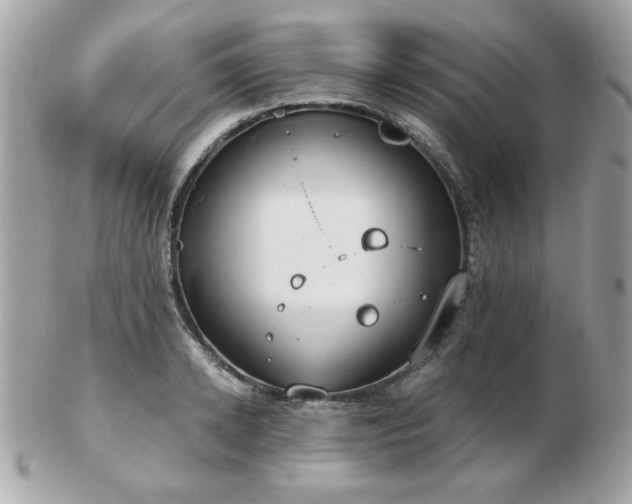 X0000103260942200808291215