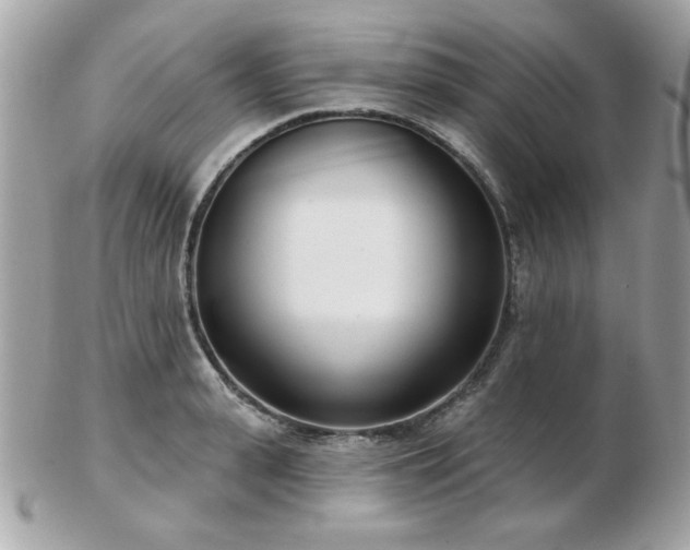 X0000103260943200808291215